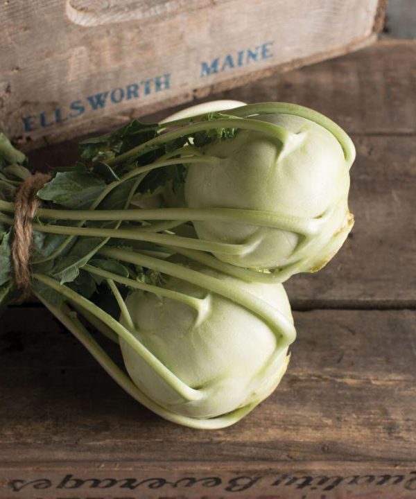 Korist - Organic (F1) Kohlrabi Seed