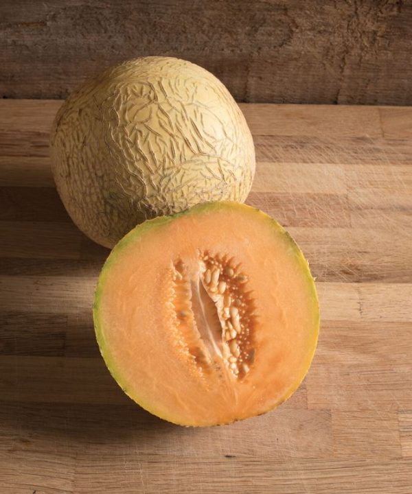 Divergent - Organic (F1) Melon Seed