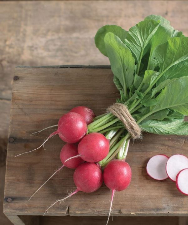 Celesta - Organic (F1) Radish Seed
