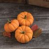 Jill-Be-Little - Pumpkin Seed