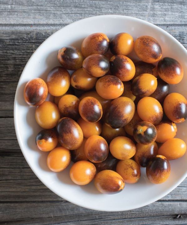 Indigo Kumquat - (F1) Tomato Seed