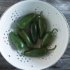 Felicity - (F1) Jalape?o Pepper Seed