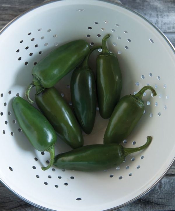 Felicity - (F1) Jalape?o Pepper Seed