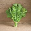 Green Wave - Organic Mustard Green Seed