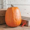 Early Giant - (F1) Pumpkin Seed