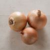 Scout - (F1) Onion Seed