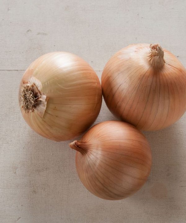 Scout - (F1) Onion Seed