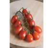 Verona - (F1) Tomato Seed