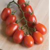 Verona - Organic (F1) Tomato Seed