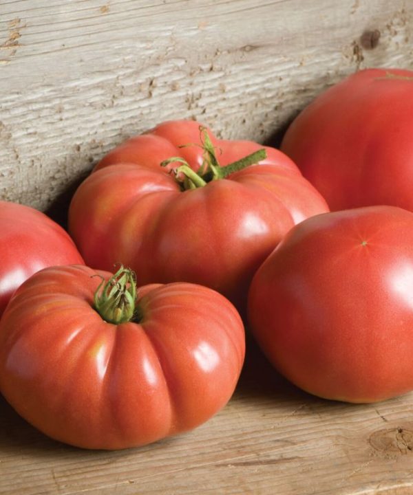 German Johnson - Organic Tomato Seed