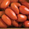 Speckled Roman - Organic Tomato Seed