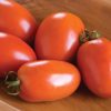 Amish Paste - Organic Tomato Seed