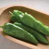 Highlander - Organic Anaheim Pepper Seed