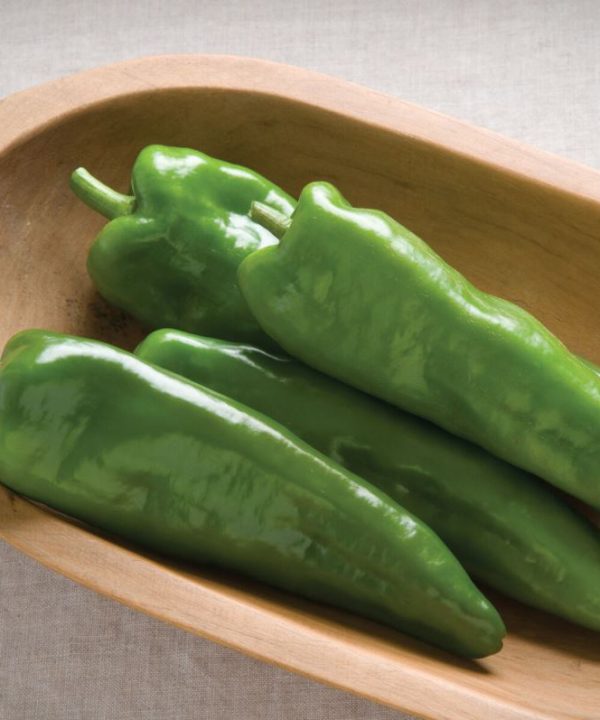 Highlander - Organic Anaheim Pepper Seed