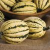 Jester - (F1) Delicata Squash Seed