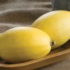 Pinnacle - (F1) Spaghetti Squash Seed