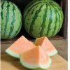 Orange Crisp - (F1) Watermelon Seed