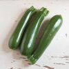 Dunja - Organic (F1) Zucchini Squash Seed