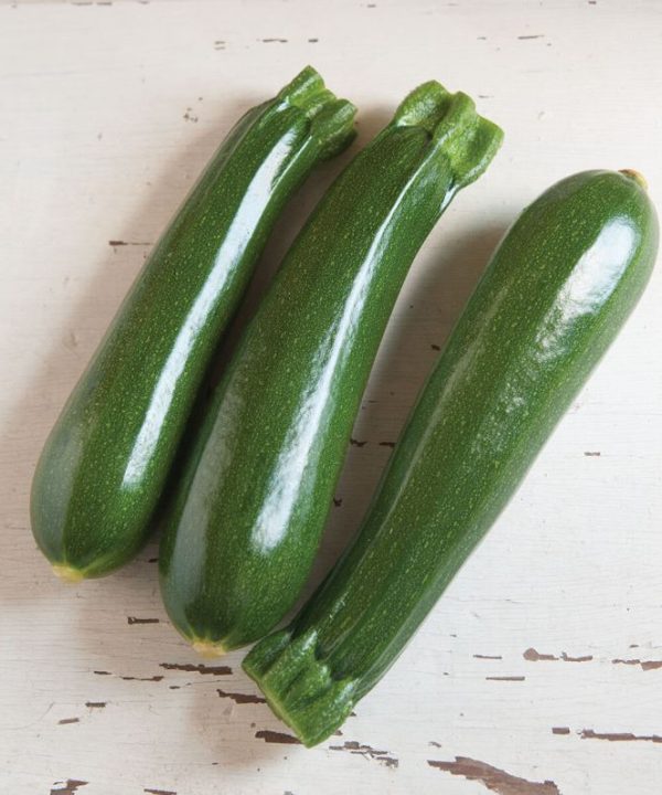 Dunja - Organic (F1) Zucchini Squash Seed
