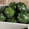 G-Star - Organic (F1) Patty Pan Squash Seed