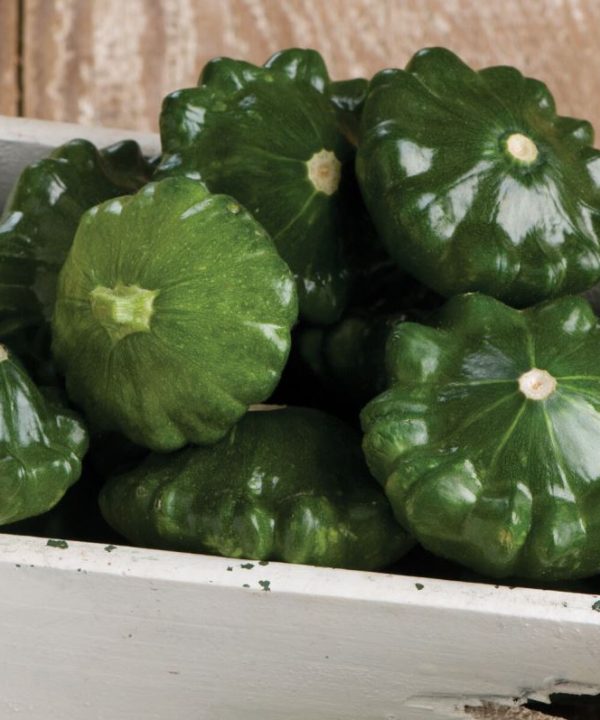 G-Star - Organic (F1) Patty Pan Squash Seed