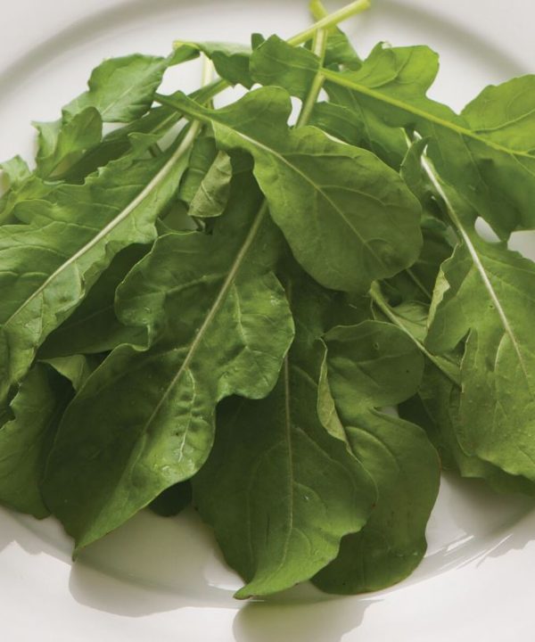 Arugula (Standard) - Vegetable Seed