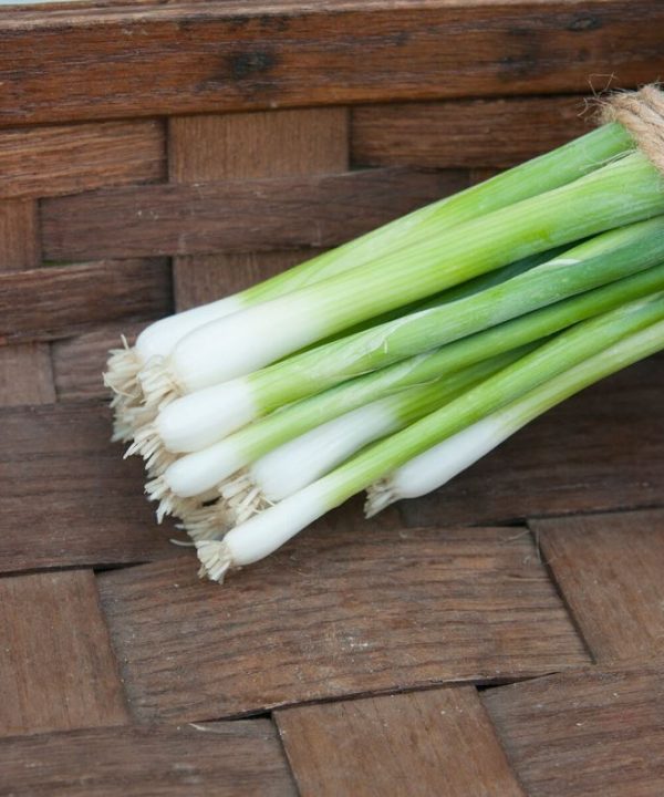 Parade - Organic Onion Seed