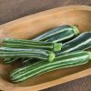 Safari - (F1) Zucchini Squash Seed