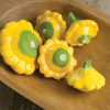 Y-Star - Organic Patty Pan Squash Seeds