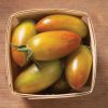 Lucky Tiger - Organic Tomato Seed