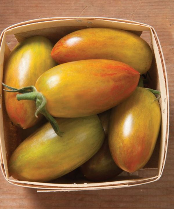 Lucky Tiger - Organic Tomato Seed