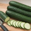 SV4719CS - (F1) Cucumber Seed