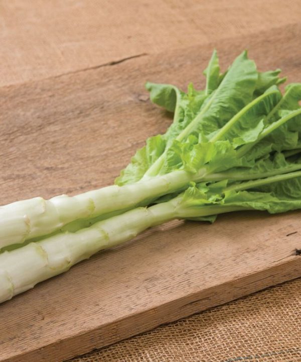 Spring Tower - Celtuce Seeds