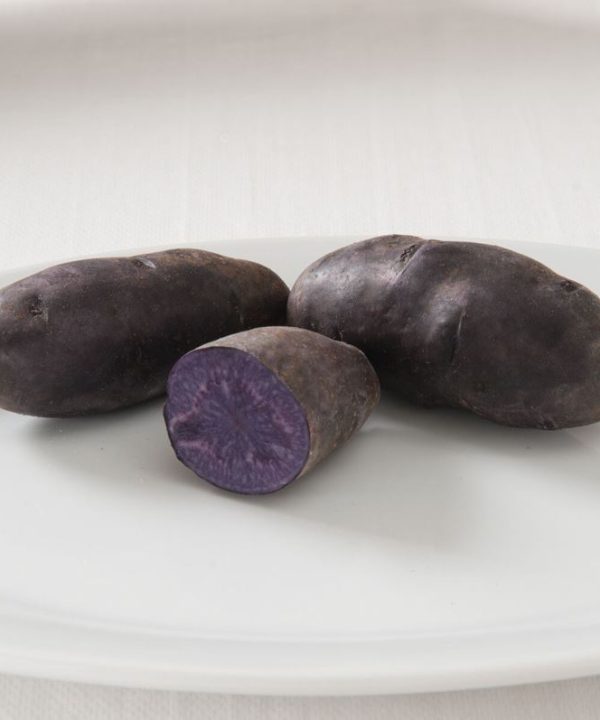 Magic Molly - Purple Potatoes Seed