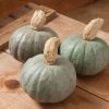 Shokichi Shiro - (F1) Kabocha Squash Seed