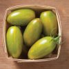 Green Tiger - Organic Tomato Seed