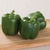Intruder - (F1) Bell Pepper Seed