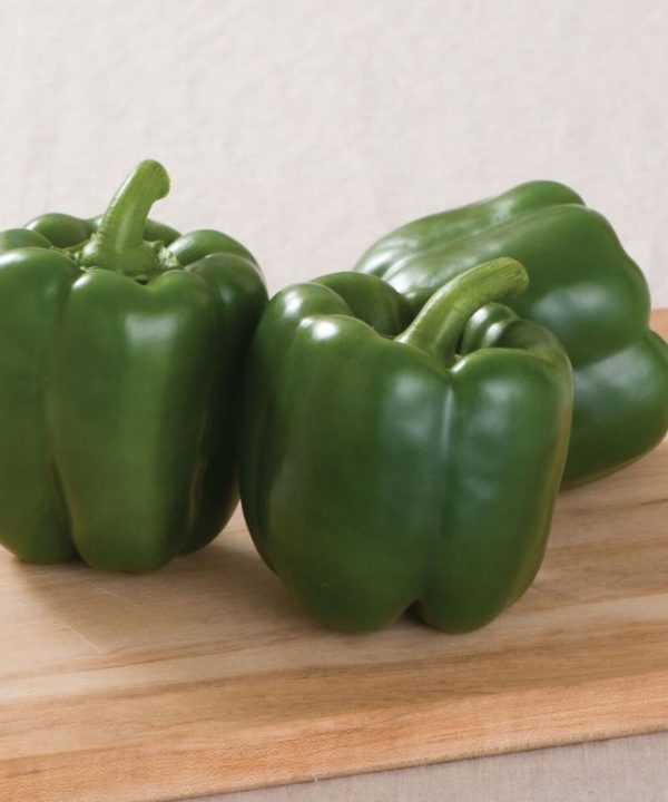 Intruder - (F1) Bell Pepper Seed
