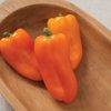 Glow - (F1) Pepper Seed