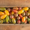 Artisan Tomato? Collection - Organic Seed