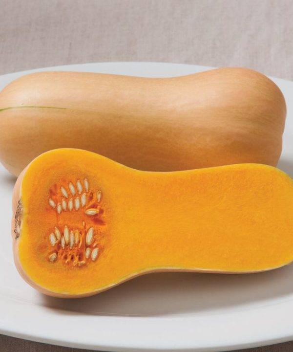 Butterscotch PMR - Butternut Squash Seeds