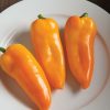 Cornito Giallo - Organic (F1) Corno di Toro Pepper Seed