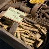 Horseradish - (F1) Roots