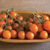 Clementine - Organic (F1) Tomato Seed