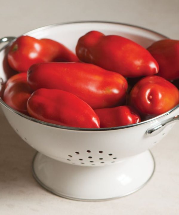 Tiren - (F1) Tomato Seed