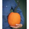 Pipsqueak PMR - (F1) Pumpkin Seed