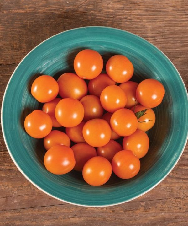Citrine - Organic (F1) Tomato Seed