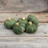 Sweet Jade - Organic (F1) Kabocha Squash Seed