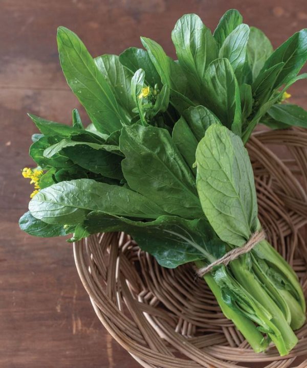 Green 70 D Improved - Choy Sum Seeds