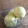 Typhoon - (F1) Cabbage Seed